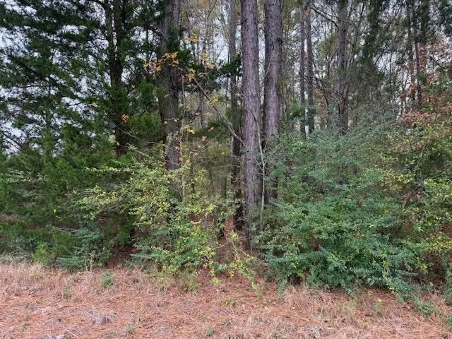 TBD FM 2767, Kilgore, TX 75662 - #1