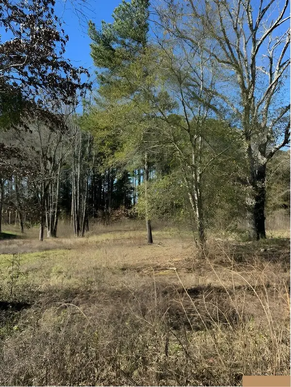 Lot 3 Berrycreek Circle, Frankston, TX 75763