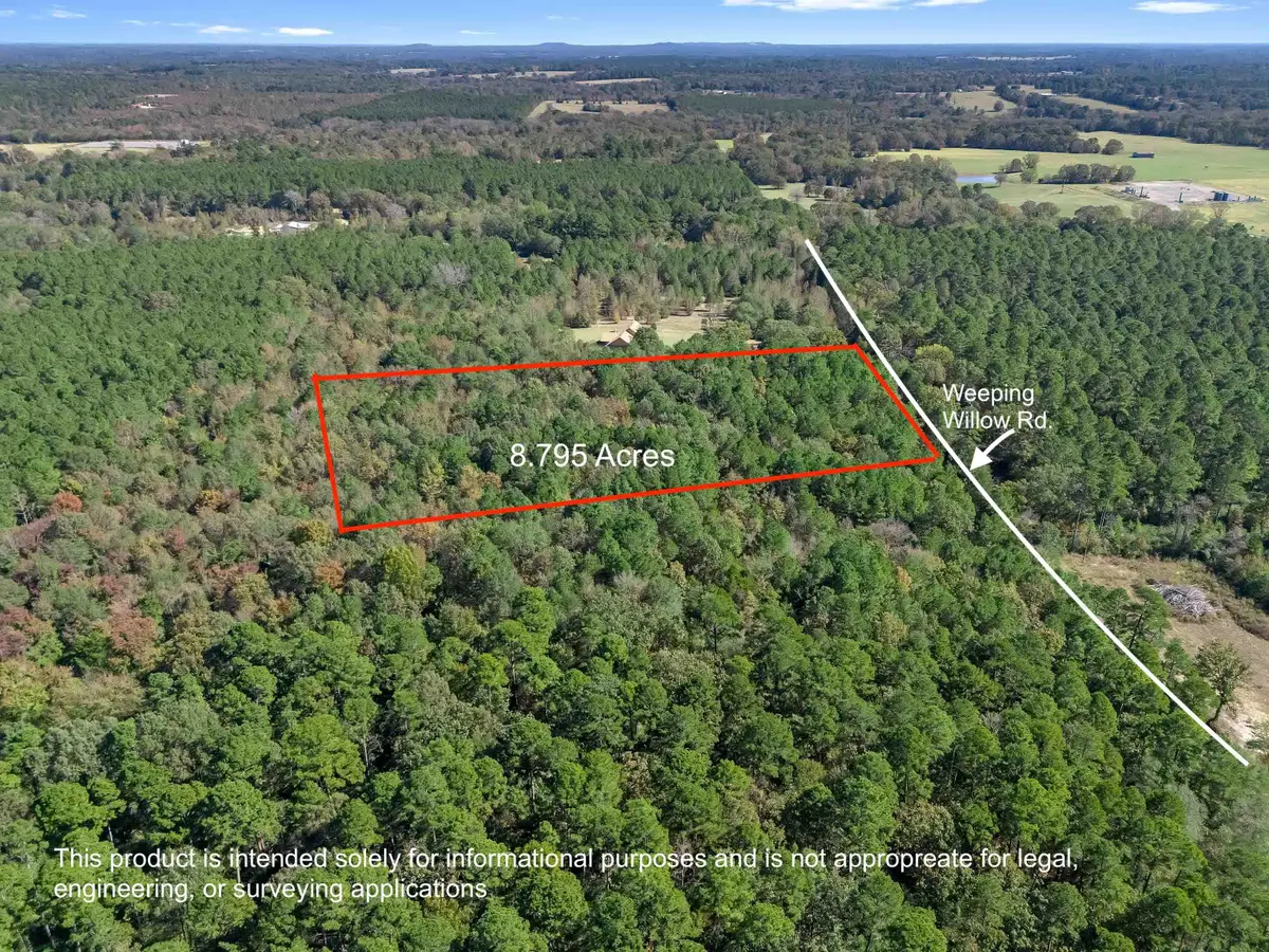 TBD Weeping Willow Rd., Big Sandy, TX 75755 - Image #1