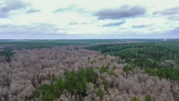 0000 County Road 1619, Linden, TX 75563