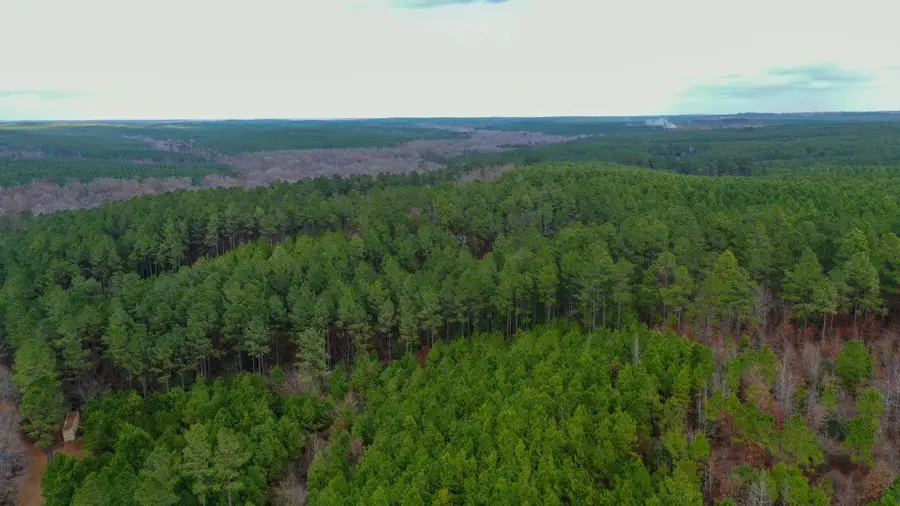 0000 County Road 1619, Linden, TX 75563 - Image #2