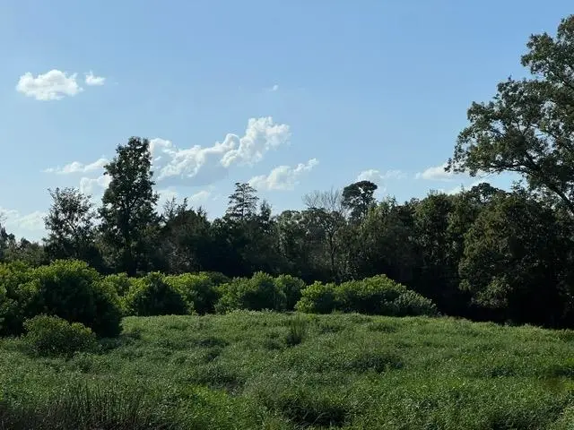 589 Us Hwy 84 E, Tenaha, TX 75974 - #1