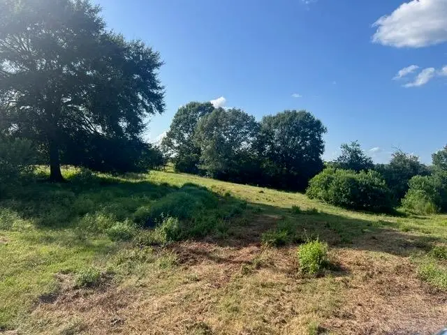 589 Us Hwy 84 E, Tenaha, TX 75974 - #2