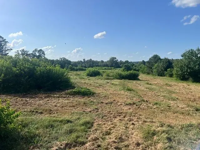 589 Us Hwy 84 E, Tenaha, TX 75974 - #3