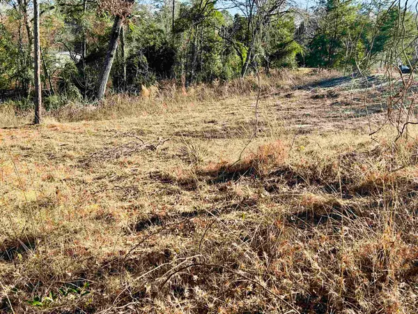 TBD Raintree Circle, Gilmer, TX 75755