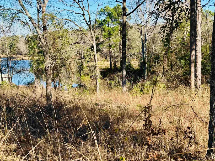 TBD Raintree Circle, Gilmer, TX 75755 - #2