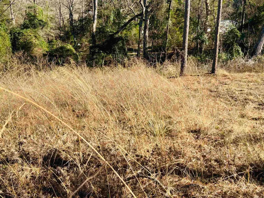 TBD Raintree Circle, Gilmer, TX 75755 - #3