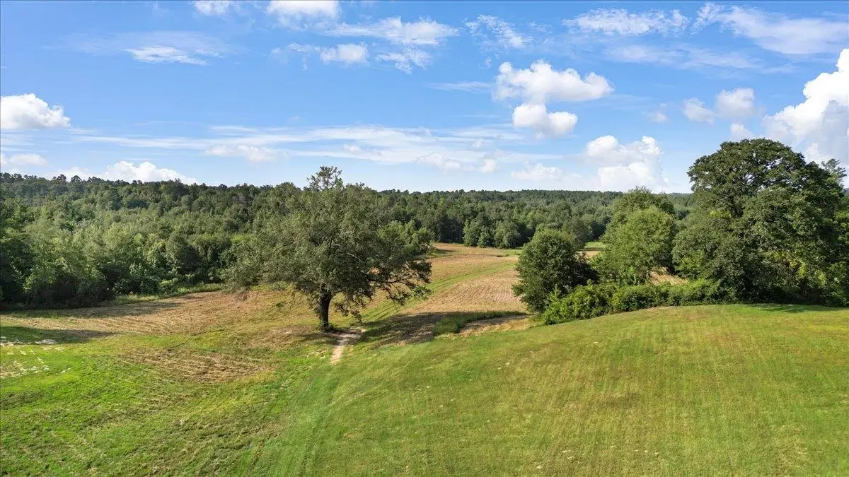 TBD S Live Oak Rd, Gilmer, TX 75644 - Image #1