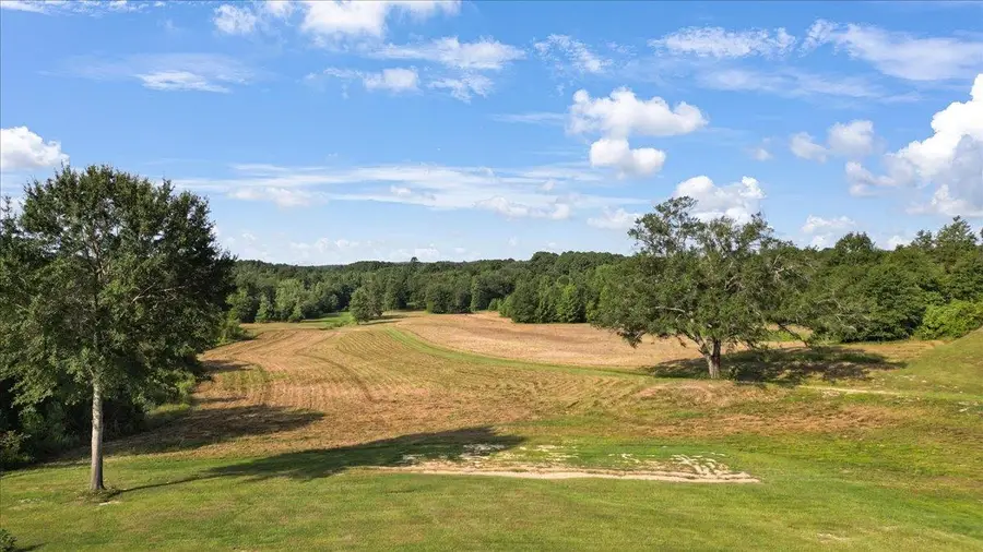 TBD S Live Oak Rd, Gilmer, TX 75644 - Image #2