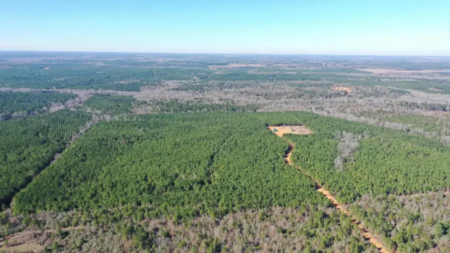 0000 County Road 1637, Linden, TX 75563 - Image #2