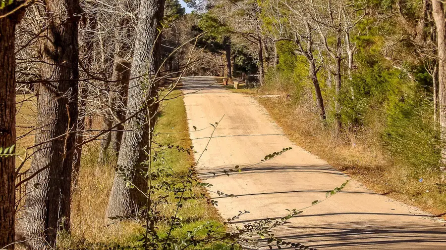 21781 CR 2160, Troup, TX 75789 - #2