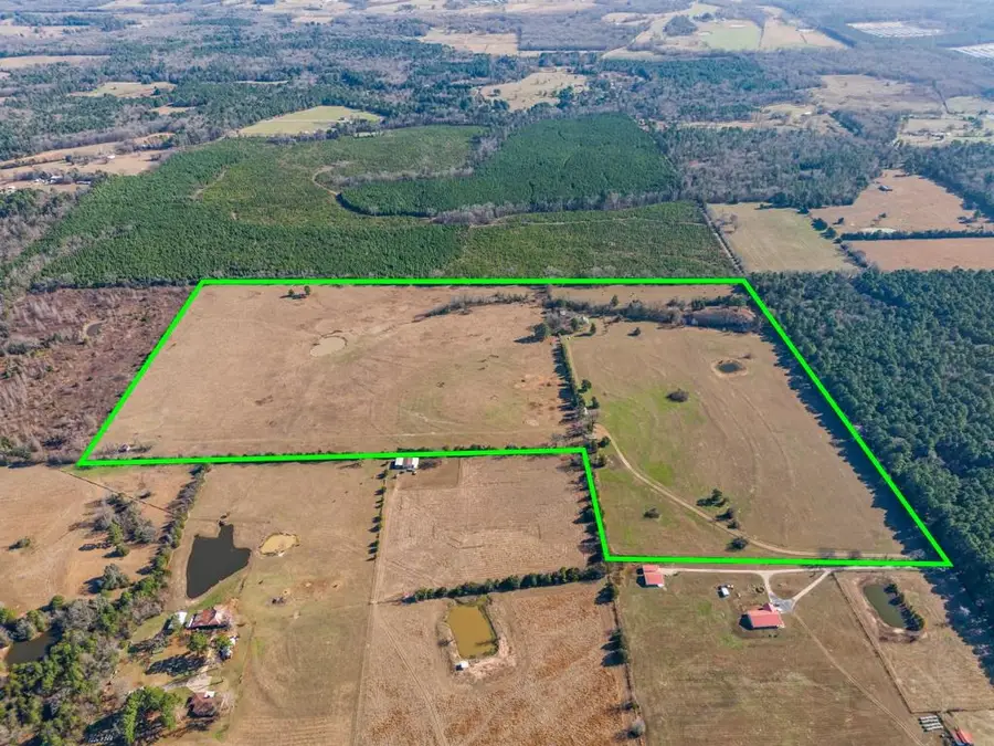 255 CR 4645, Winnsboro, TX 75494 - #2