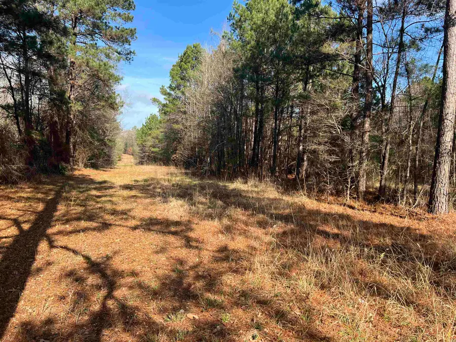 TBD County Road 331, De Berry, TX 75639 - Image #2