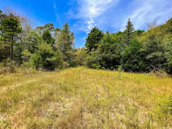 TBD County Road 4606, Troup, TX 75789