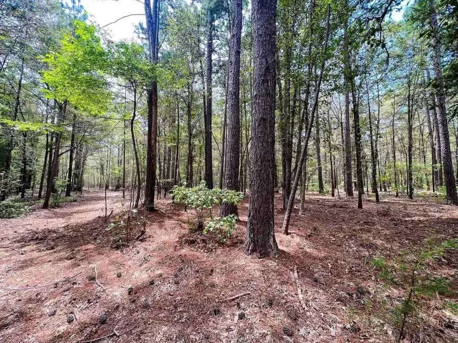 TBD County Road 4606, Troup, TX 75789 - Image #2