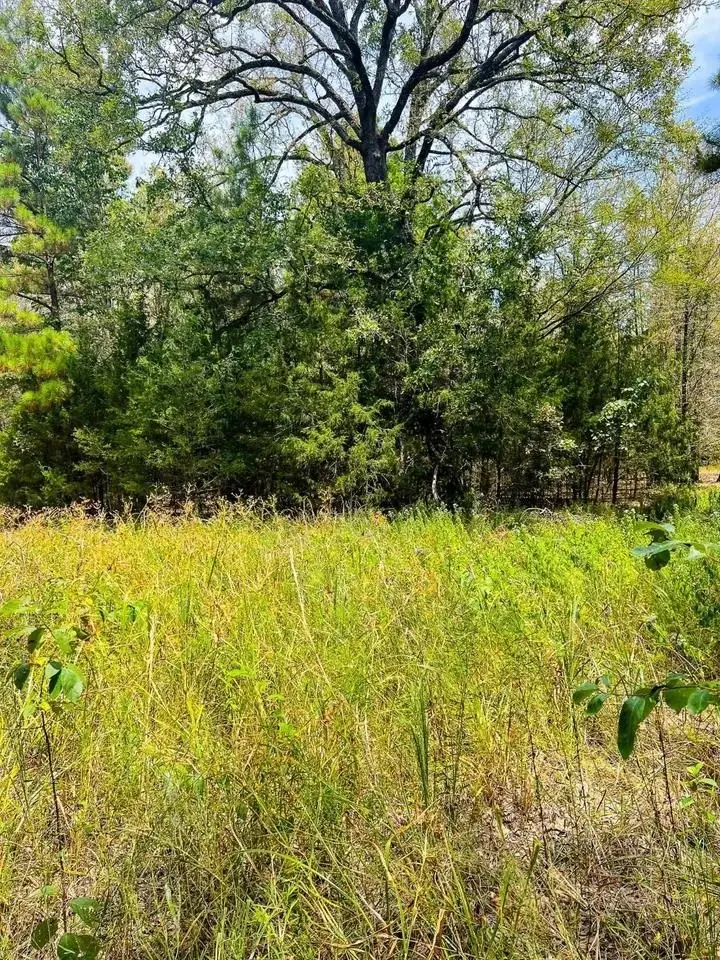 TBD County Road 4606, Troup, TX 75789 - Image #3