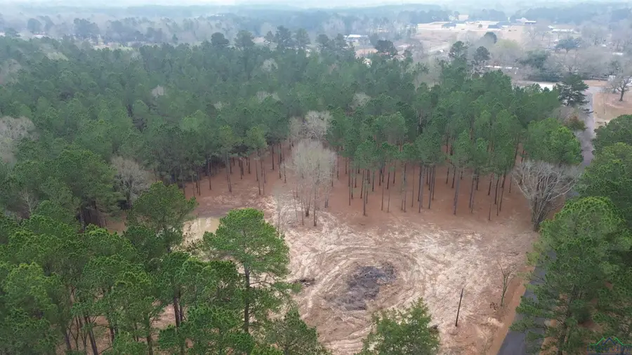 TBD 4.43 Acres CR 2191 N, Tatum, TX 75691 - Image #3