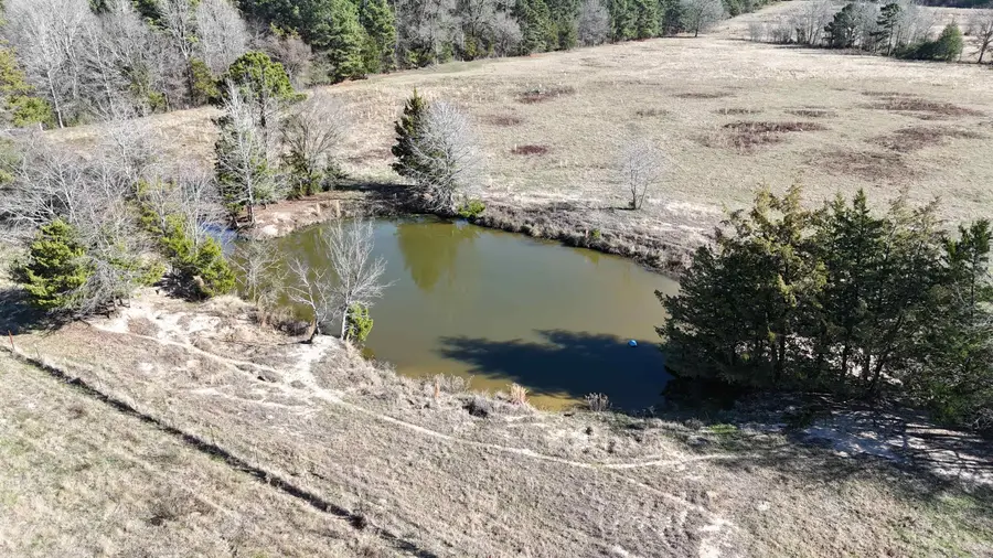 8800 Ginger Road, Gilmer, TX 75644 - Image #3