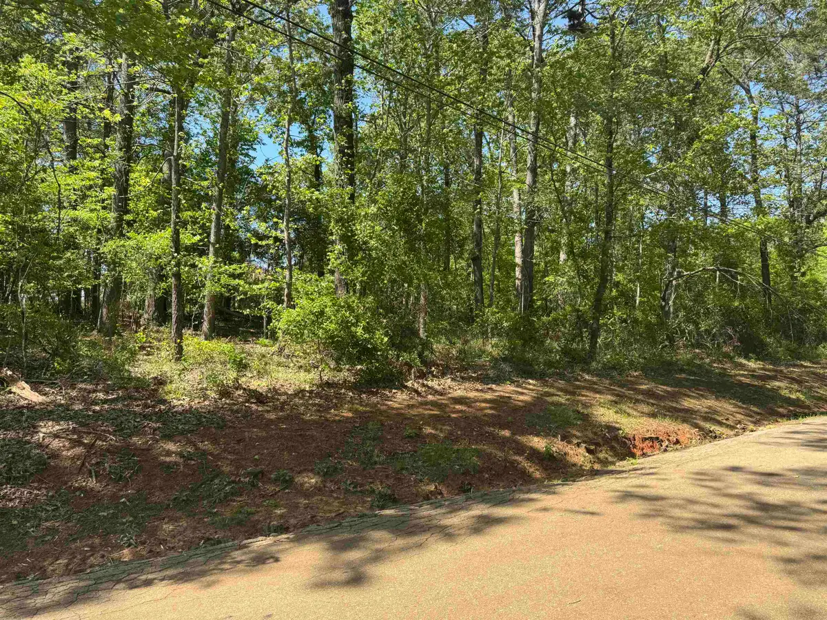 TBD Paradise Lane, Flint, TX 75762 - Image #1