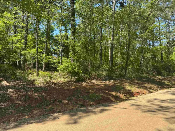 TBD Paradise Lane, Flint, TX 75762