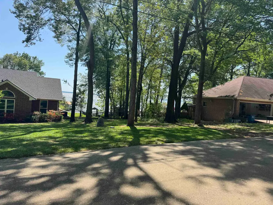 TBD Paradise Lane, Flint, TX 75762 - Image #3