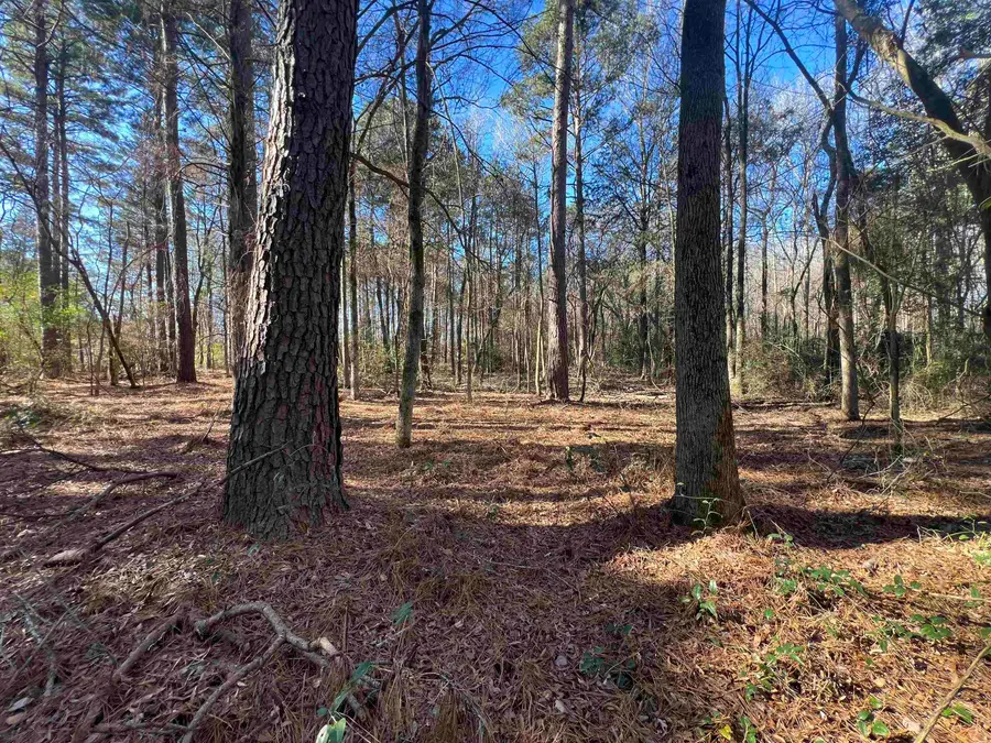 TBD FM 161 N, Naples, TX 75656 - #2