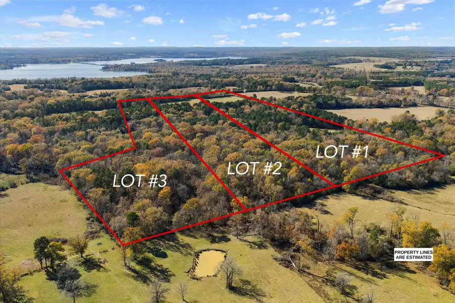 tbd Cr 157, Carthage, TX 75633 - Image #2