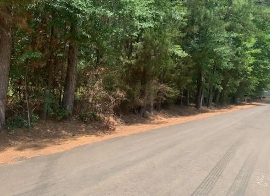 TBD Blackstone Rd, Longview, TX 75604 - Image #2