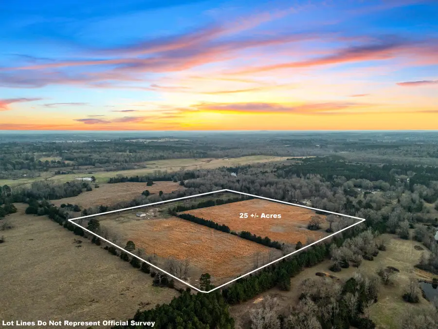 8719 Goat Rd, Gilmer, TX 75644 - Image #3