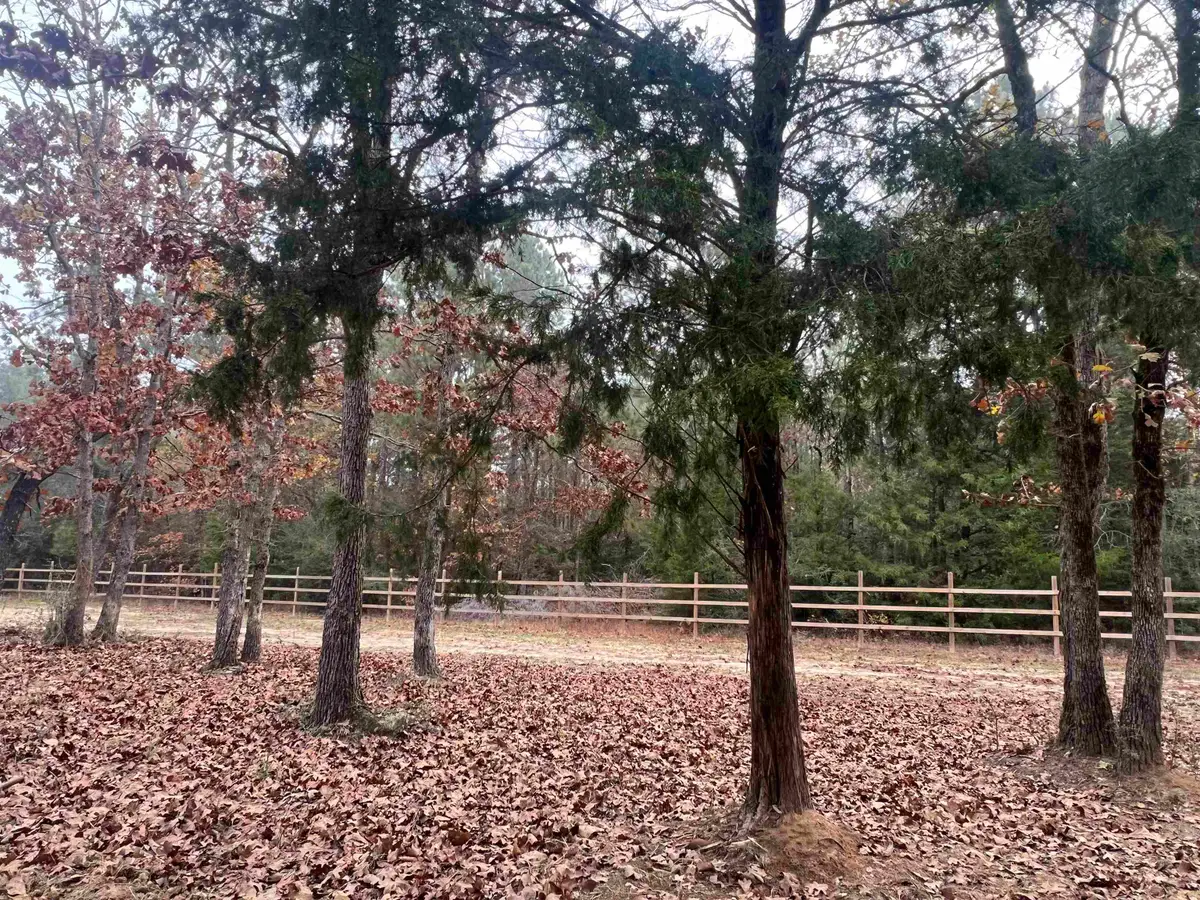 9138 N County Road 2138, Tatum, TX 75691 - Image #1