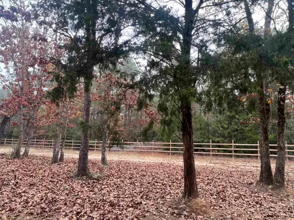 9138 N County Road 2138, Tatum, TX 75691