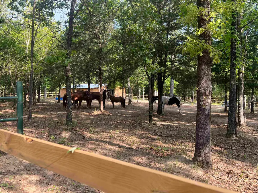 9138 N County Road 2138, Tatum, TX 75691 - Image #3