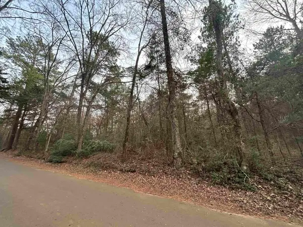 TBD N Catalpa, Big Sandy, TX 75755