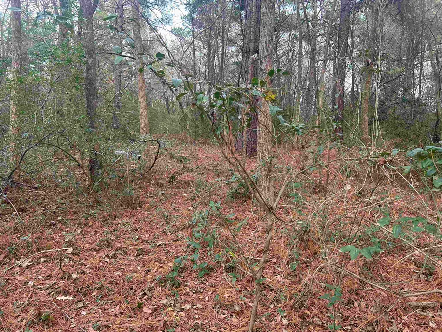 TBD N Catalpa, Big Sandy, TX 75755 - Image #2