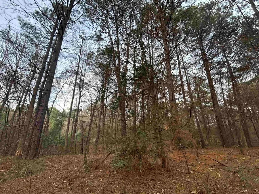 TBD N Catalpa, Big Sandy, TX 75755 - Image #3