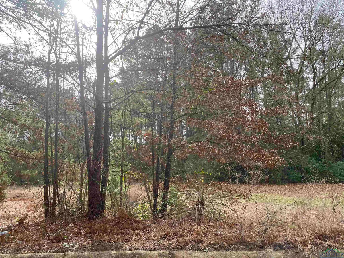 433 Lindsey St, Daingerfield, TX 75638 - Image #1