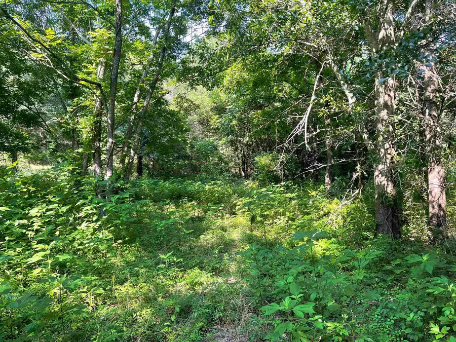 TBD Univerisity Lots 1 & 8, Mineola, TX 75773 - Image #3