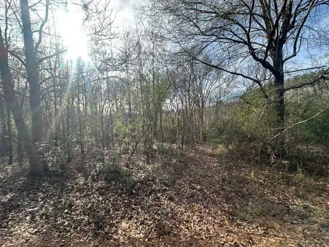 TBD CR 286, Garrison, TX 75946 - #2