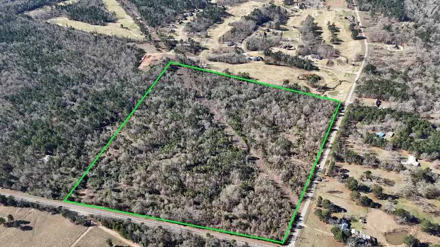 TBD Wilkins Road, Gladewater, TX 75647 - Image #2