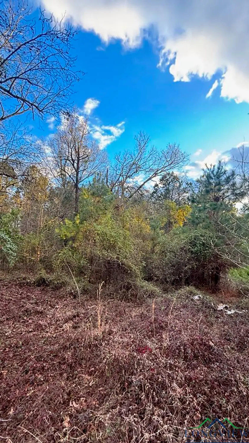 1590 Gum Springs Rd, Longview, TX 75602 - Image #3