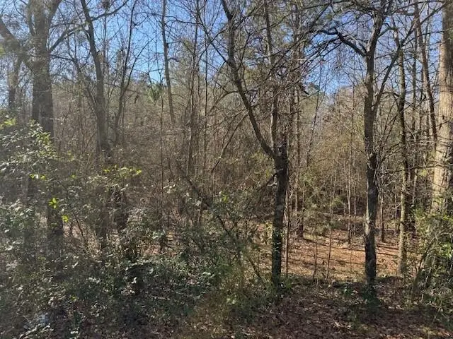 TBD Martin St., Naples, TX 75568-0000 - Image #2