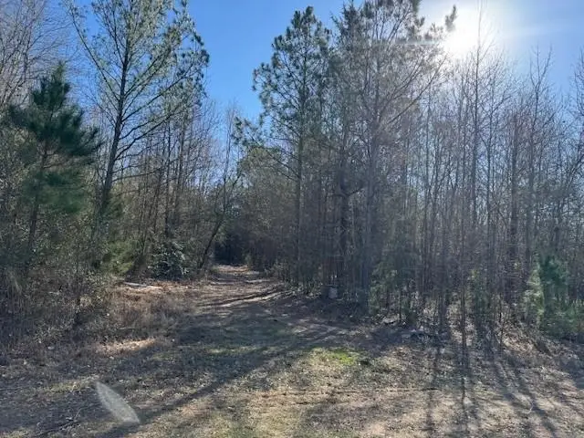 TBD Martin St., Naples, TX 75568-0000 - Image #3