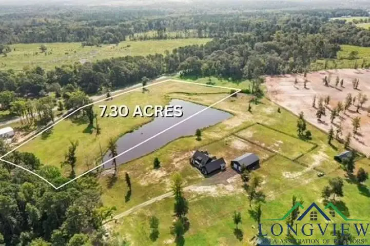 TBD BUIE RD, Diana, TX 75640 - Image #1