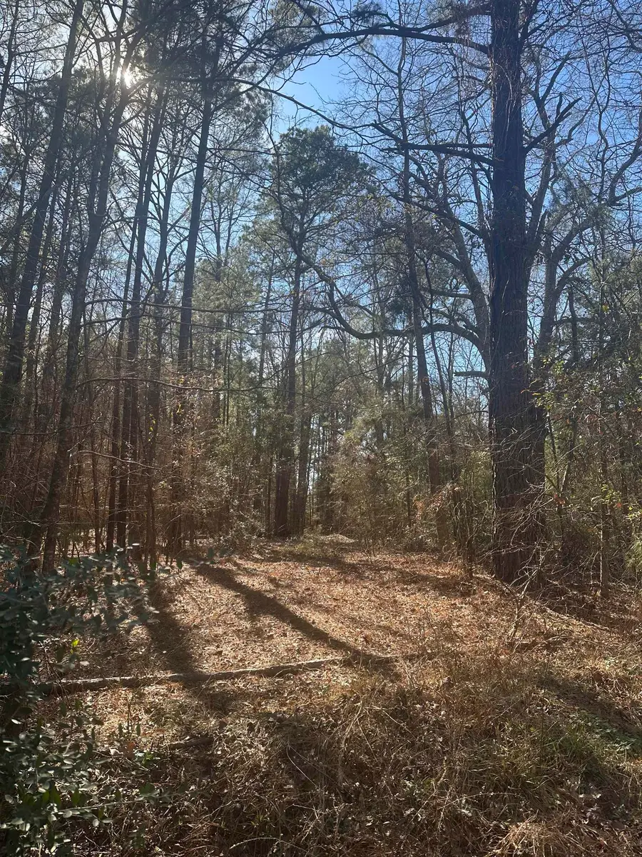 7508 S Hwy 43, Marshall, TX 75672 - #3