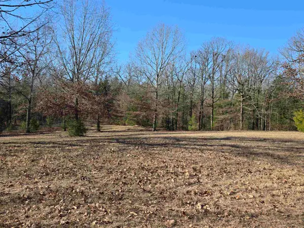 1191 County Road 3333, Omaha, TX 75571-3157