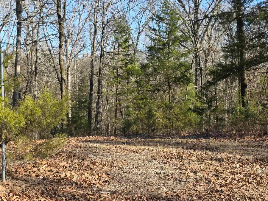 1191 County Road 3333, Omaha, TX 75571-3157 - Image #2