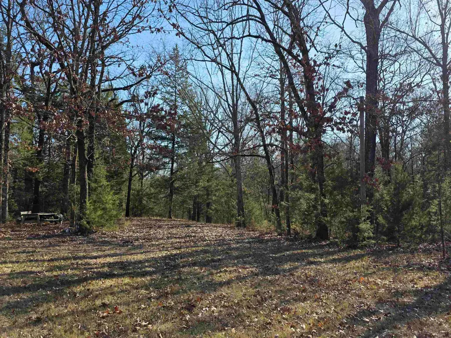 1191 County Road 3333, Omaha, TX 75571-3157 - Image #3