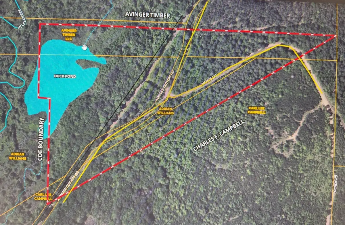 TBD McNeil, Avinger, TX 75630 - Image #1