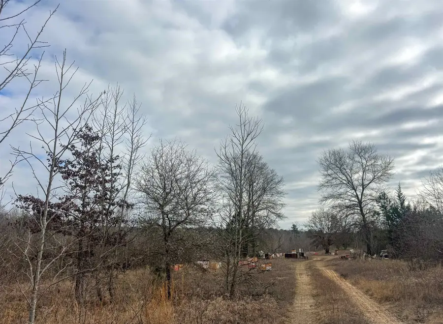 TBD CR 2619, Marietta, TX 75566 - Image #2