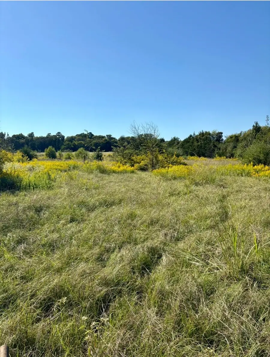 000 CR 3414, Jacksonville, TX 75766 - Image #2